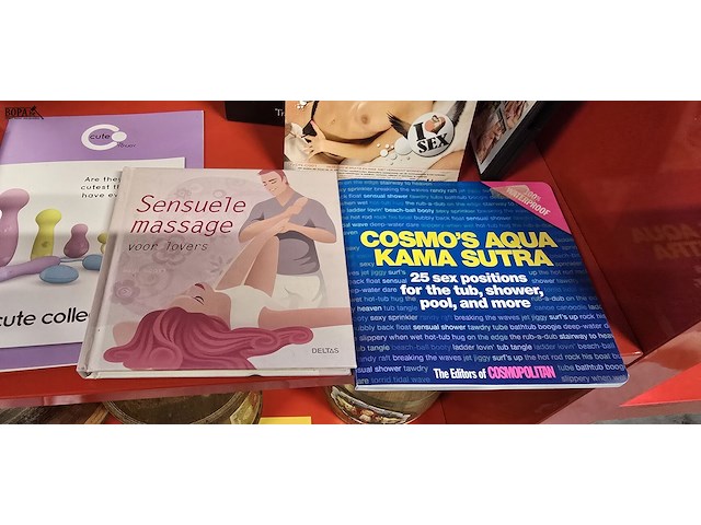 Lot 50 - erotisch lot, boeken, dvd's... - afbeelding 5 van  7