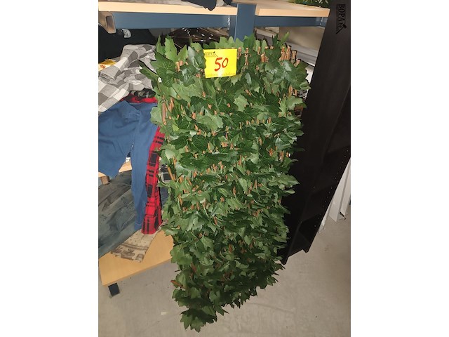 Lot 50 - uittrekbare wand nep klimop. 2 stuks - afbeelding 1 van  3