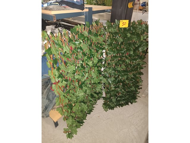 Lot 50 - uittrekbare wand nep klimop. 2 stuks - afbeelding 2 van  3