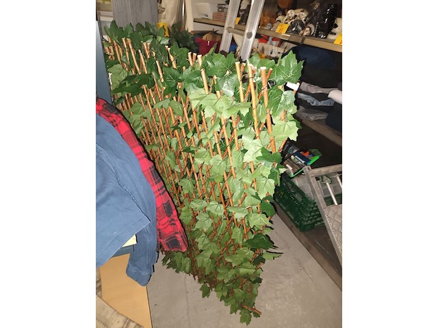 Lot 50 - uittrekbare wand nep klimop. 2 stuks - afbeelding 3 van  3