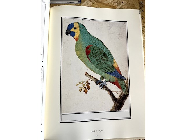 Lot 51 - de albums van anselmus de boodt - afbeelding 4 van  4
