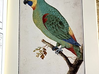 Lot 51 - de albums van anselmus de boodt - afbeelding 4 van  4