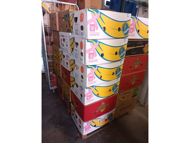 Lot 51 - dozen met schuurbanden. 36 stuks - afbeelding 1 van  3