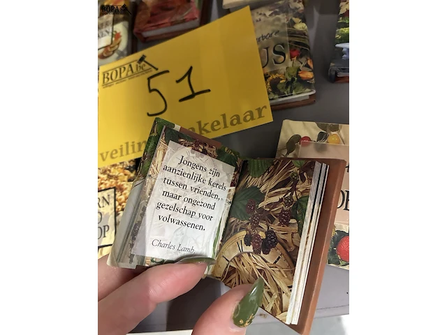 Lot 51 - lot miniboekjes - afbeelding 2 van  6
