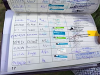 Lot 51 - paard: equador - dressuurpaard - afbeelding 4 van  14