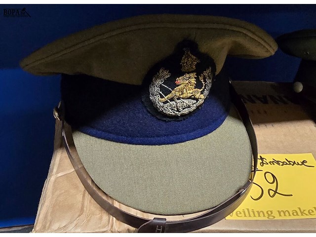 Lot 52 - zimbabwe 1 kepie - afbeelding 1 van  3