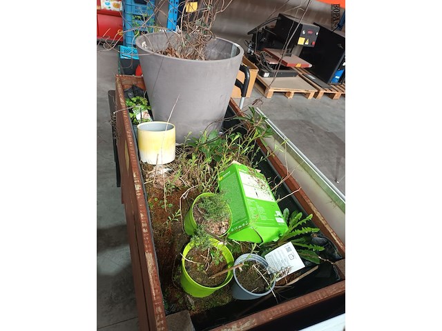 Lot 53 - houten verhoogde plantenbak - afbeelding 2 van  3