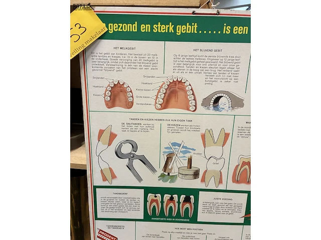 Lot 53 - vintage educatieve wandplaat over mondverzorging - afbeelding 2 van  3