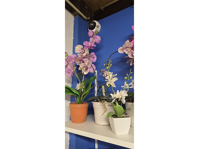 Lot 54 - lot kunstbloemen, 7 diverse potten - afbeelding 2 van  4