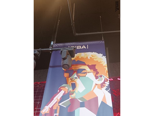 Lot 54 - zeil met afbeelding bruno mars - afbeelding 3 van  3