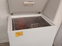 Lot 55 - diepvrieskist met inhoud - afbeelding 1 van  5