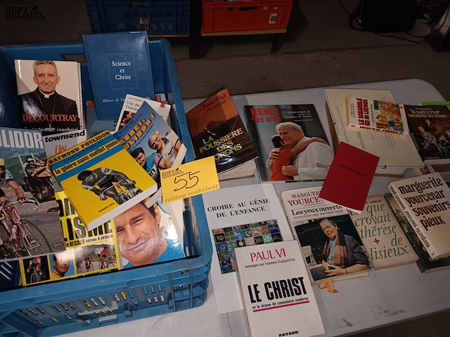 Lot 55 - franstalige boeken - afbeelding 1 van  6