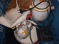 Lot 56 - diverse decoratie - afbeelding 7 van  7