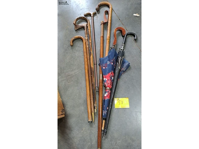 Lot 57 - lot wandelstokken (6) en paraplu's (2) - afbeelding 1 van  1