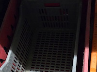 Lot 59 - diverse plastiek manden 4 stuks - afbeelding 3 van  3