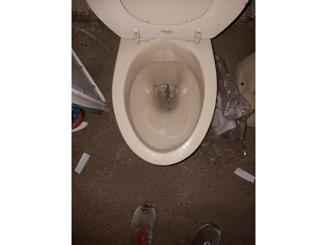 Lot 59 - toilet. 2 stuks - afbeelding 2 van  3