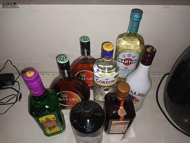 Lot 6 - flessen alcoholische drank. 8 stuks - afbeelding 4 van  4