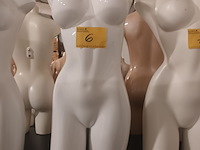 Lot 6 - witte torso vrouw