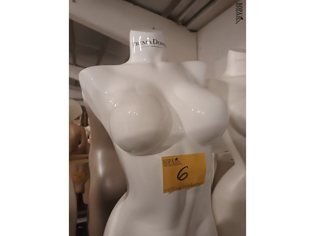 Lot 6 - witte torso vrouw - afbeelding 2 van  3