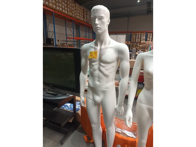 Lot 61 - etalagepop - afbeelding 1 van  2