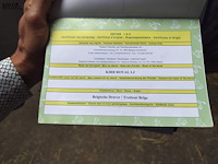 Lot 61 - paard kirr royal lj - draver - afbeelding 5 van  8
