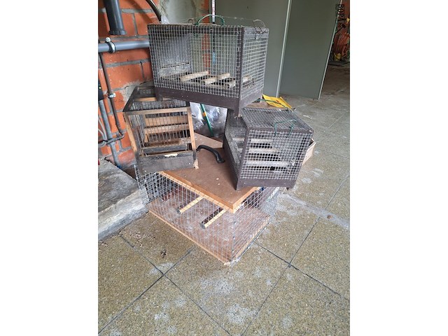 Lot 62 - dierenbenodigdheden. 16 stuks - afbeelding 5 van  5
