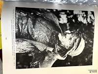Lot 62 - l'age de la fonte - afbeelding 3 van  4