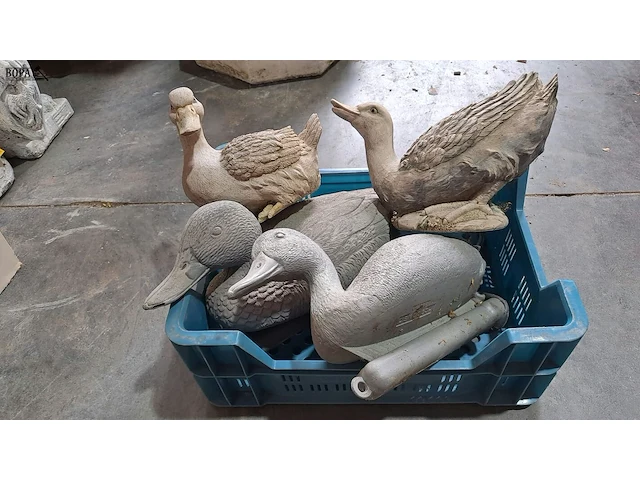 Lot 64 - eenden voor vijver en hoenders - 4 stuks - afbeelding 2 van  3
