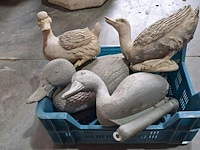 Lot 64 - eenden voor vijver en hoenders - 4 stuks - afbeelding 2 van  3