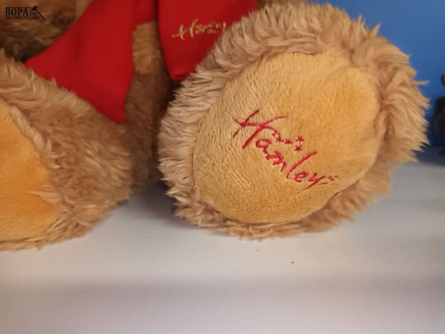 Lot 65 - knuffelbeer. 3 stuks - afbeelding 3 van  5