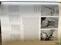 Lot 68 - meestertekeningen van jan van eyck tot hietonymus bosch - afbeelding 2 van  4