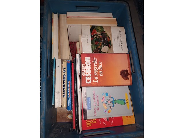 Lot 7 - franstalige boeken. 3 bakken - afbeelding 4 van  5
