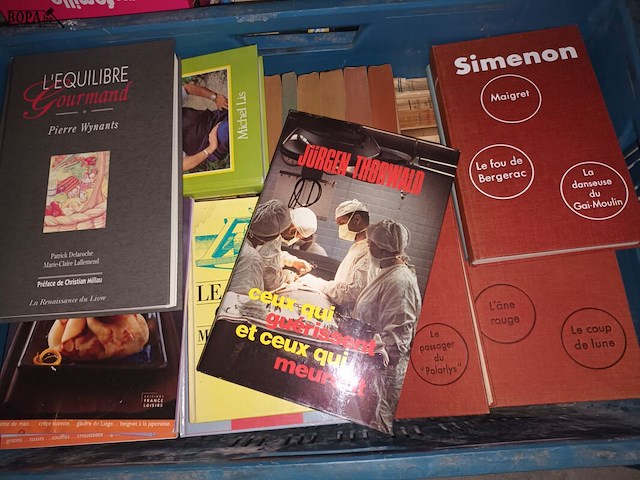 Lot 7 - franstalige boeken. 3 bakken - afbeelding 5 van  5