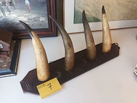 Lot 7 - kapstok met hoorns