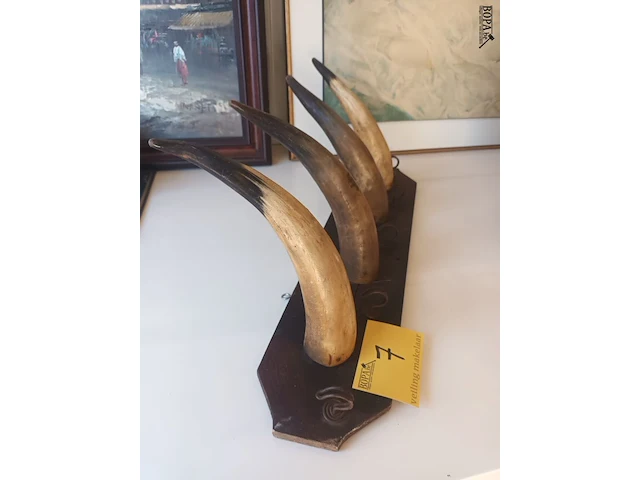 Lot 7 - kapstok met hoorns - afbeelding 2 van  3