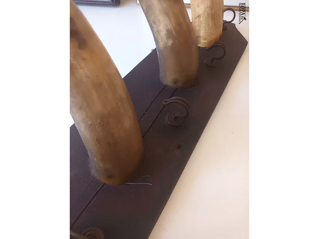 Lot 7 - kapstok met hoorns - afbeelding 3 van  3