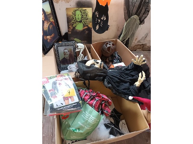 Lot 7 - lot halloween decoratie - afbeelding 2 van  6