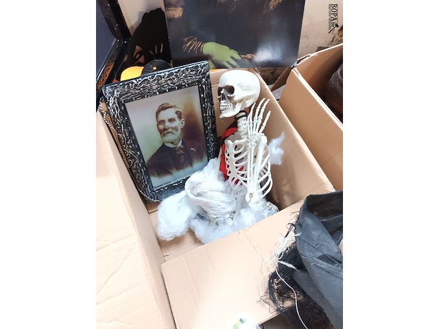 Lot 7 - lot halloween decoratie - afbeelding 5 van  6