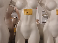Lot 7 - witte torso vrouw