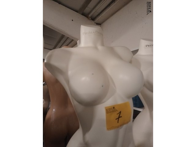 Lot 7 - witte torso vrouw - afbeelding 2 van  2