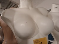 Lot 7 - witte torso vrouw - afbeelding 2 van  2