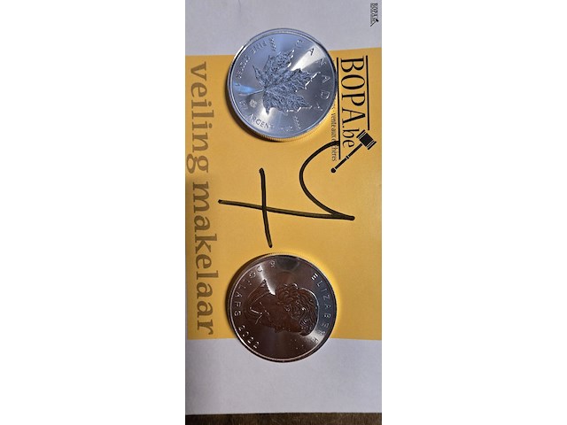 Lot 7 - zilveren beleggingsmunten 1 oz maple leaf 2 stuks - afbeelding 1 van  3