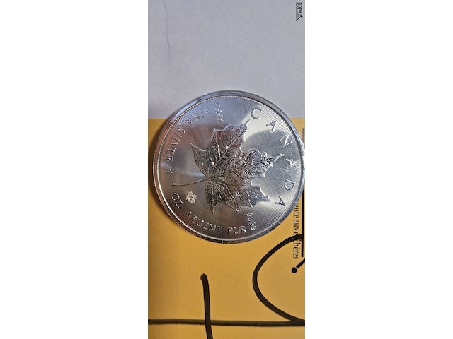 Lot 7 - zilveren beleggingsmunten 1 oz maple leaf 2 stuks - afbeelding 2 van  3