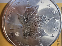 Lot 7 - zilveren beleggingsmunten 1 oz maple leaf 2 stuks - afbeelding 2 van  3