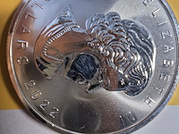 Lot 7 - zilveren beleggingsmunten 1 oz maple leaf 2 stuks - afbeelding 3 van  3