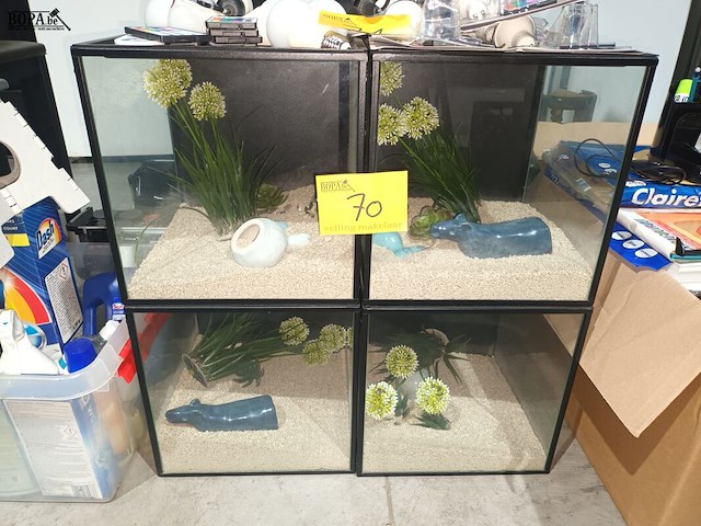 Lot 70 - vitrine kubus. 4 stuks - afbeelding 1 van  4