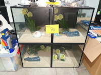 Lot 70 - vitrine kubus. 4 stuks - afbeelding 1 van  4