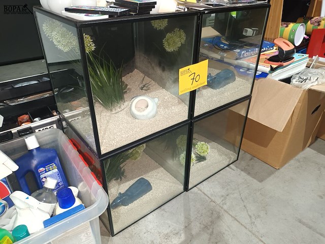 Lot 70 - vitrine kubus. 4 stuks - afbeelding 3 van  4