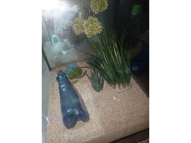 Lot 70 - vitrine kubus. 4 stuks - afbeelding 4 van  4