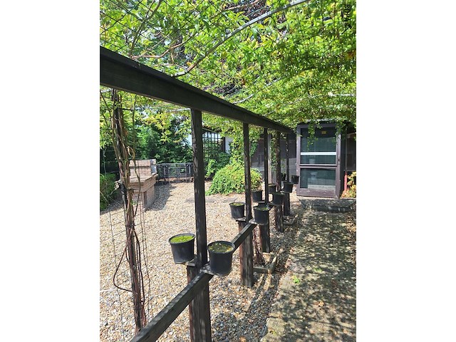 Lot 71 - pergola voor klimplanten - afbeelding 2 van  3